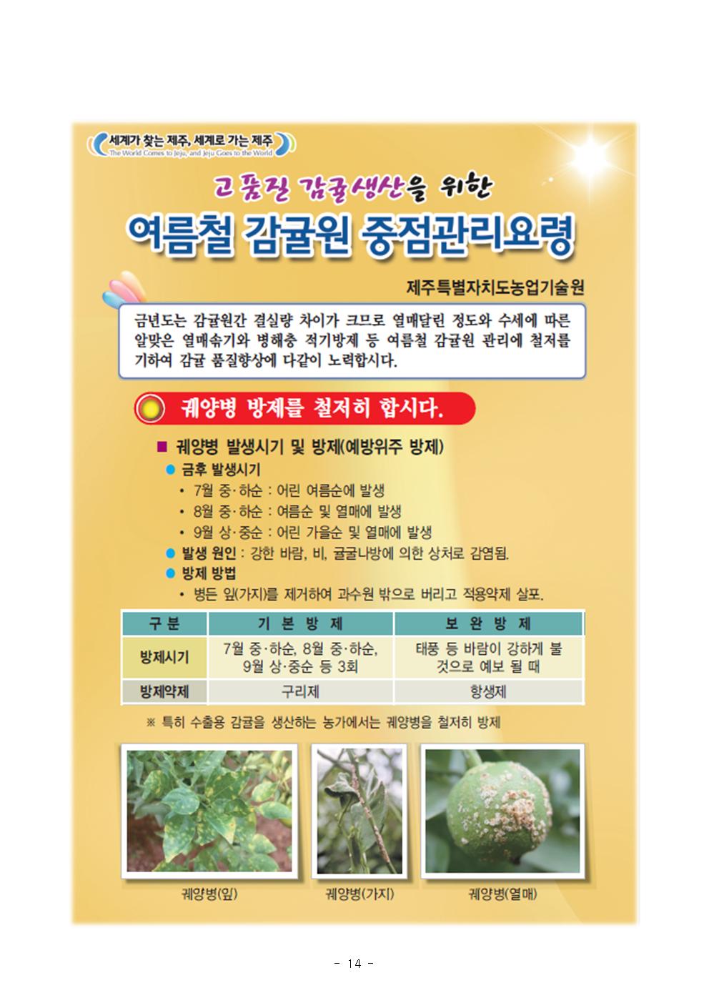 서귀포농업 인터넷 정보지 창간호(8.23) 